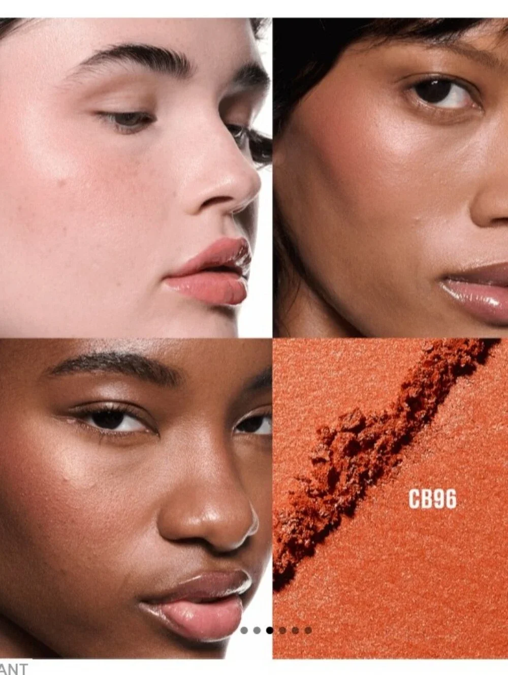 MAC Skinfinish Colourstruck Blush